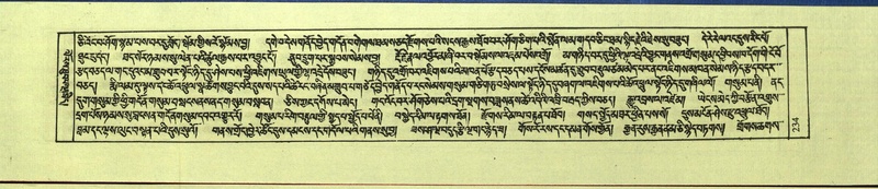 File:DNZ-Shechen-10-THA-017.pdf