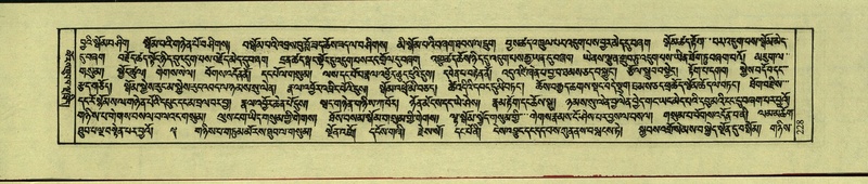 File:DNZ-Shechen-10-THA-017.pdf