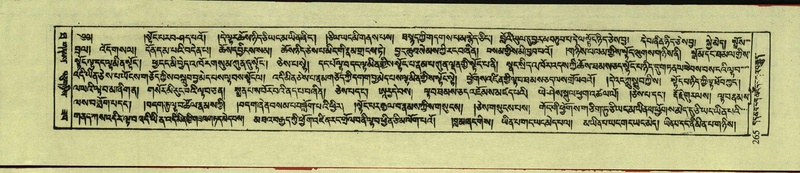 File:DNZ-Shechen-10-THA-018.pdf