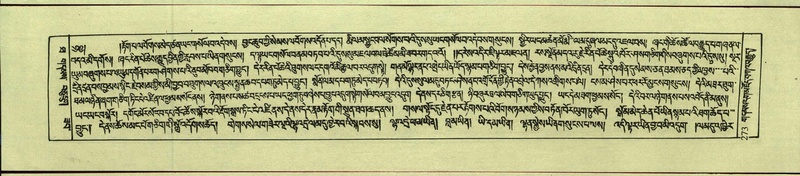 File:DNZ-Shechen-10-THA-018.pdf