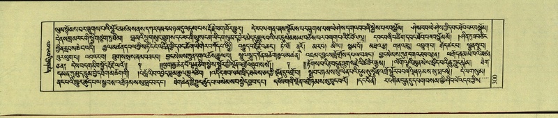 File:DNZ-Shechen-10-THA-019.pdf