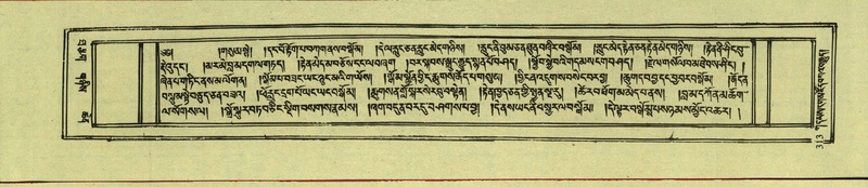 File:DNZ-Shechen-10-THA-020.pdf