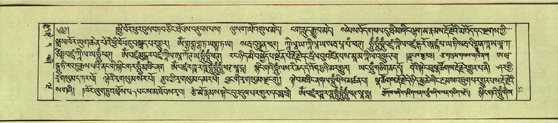 File:DNZ-Shechen-11-DA-007.pdf