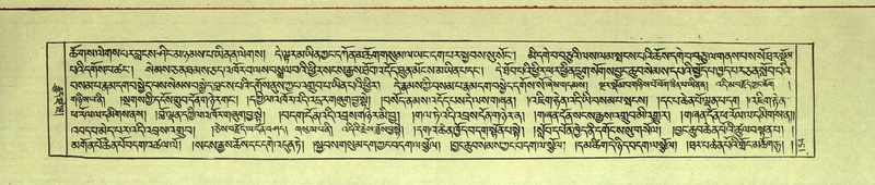 File:DNZ-Shechen-11-DA-008.pdf