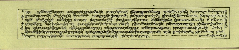 File:DNZ-Shechen-11-DA-008.pdf