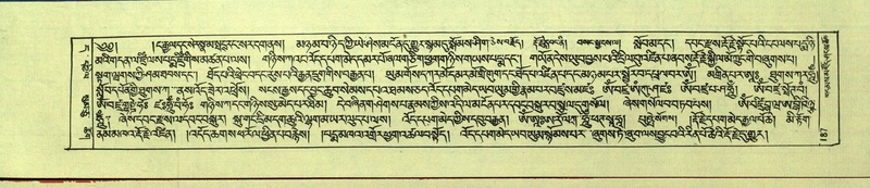 File:DNZ-Shechen-11-DA-008.pdf