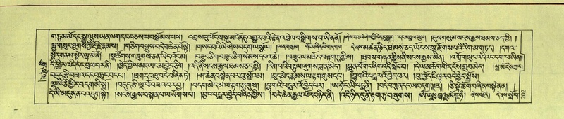 File:DNZ-Shechen-11-DA-008.pdf