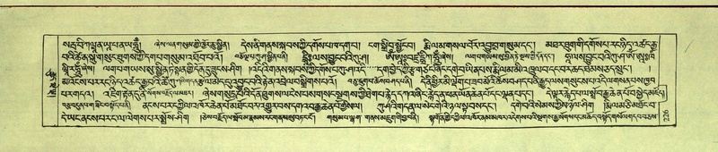 File:DNZ-Shechen-11-DA-010.pdf