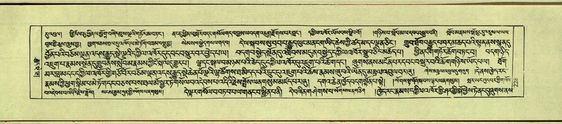 File:DNZ-Shechen-11-DA-010.pdf