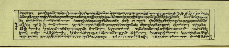 File:DNZ-Shechen-11-DA-010.pdf