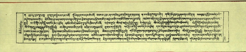 File:DNZ-Shechen-11-DA-012.pdf