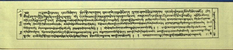 File:DNZ-Shechen-11-DA-020.pdf