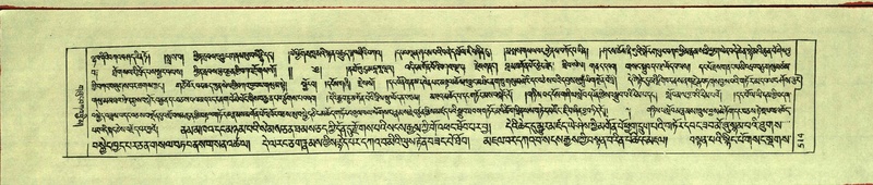 File:DNZ-Shechen-11-DA-020.pdf