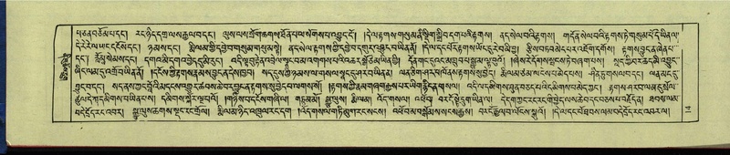 File:DNZ-Shechen-12-NA-001.pdf