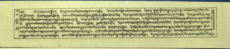 File:DNZ-Shechen-12-NA-001.pdf