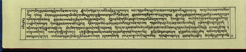 File:DNZ-Shechen-12-NA-001.pdf