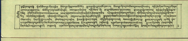 File:DNZ-Shechen-12-NA-001.pdf