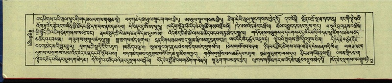 File:DNZ-Shechen-12-NA-001.pdf