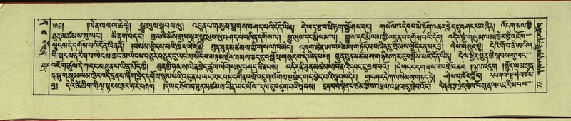 File:DNZ-Shechen-12-NA-001.pdf