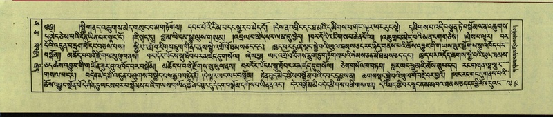 File:DNZ-Shechen-12-NA-001.pdf