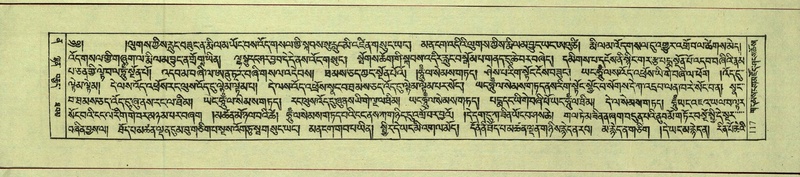 File:DNZ-Shechen-12-NA-002.pdf