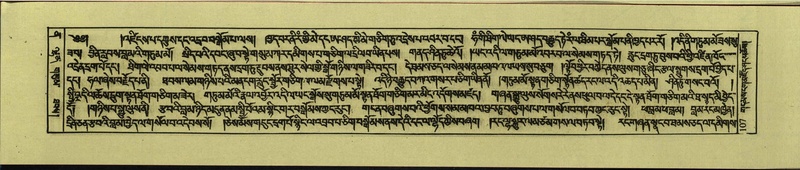 File:DNZ-Shechen-12-NA-002.pdf