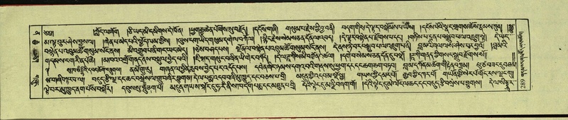 File:DNZ-Shechen-12-NA-012.pdf