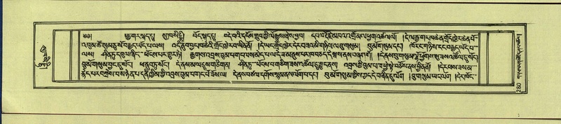 File:DNZ-Shechen-12-NA-012.pdf