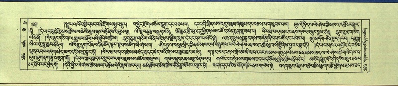 File:DNZ-Shechen-12-NA-012.pdf