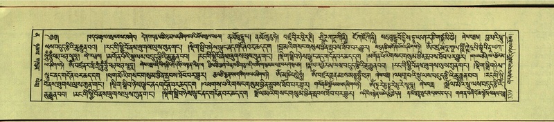 File:DNZ-Shechen-12-NA-018.pdf