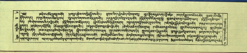 File:DNZ-Shechen-12-NA-020.pdf