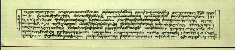 File:DNZ-Shechen-12-NA-021.pdf
