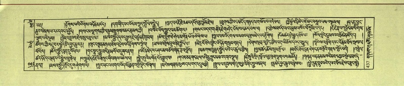 File:DNZ-Shechen-12-NA-021.pdf