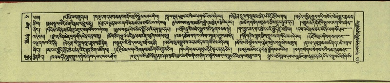 File:DNZ-Shechen-12-NA-021.pdf