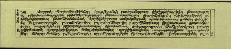 File:DNZ-Shechen-12-NA-026.pdf
