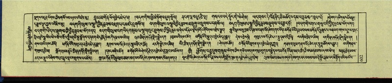 File:DNZ-Shechen-12-NA-030.pdf