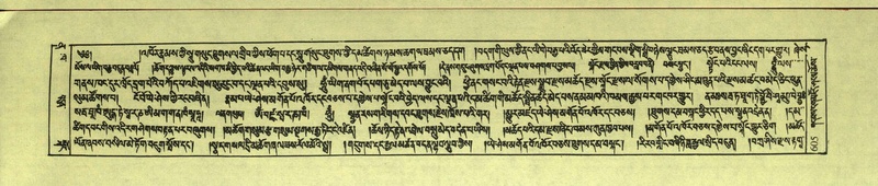 File:DNZ-Shechen-12-NA-030.pdf