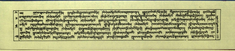 File:DNZ-Shechen-12-NA-030.pdf