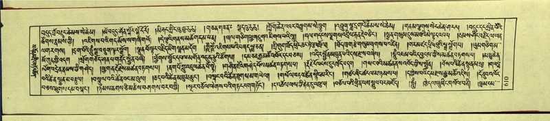 File:DNZ-Shechen-12-NA-030.pdf