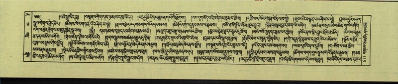 File:DNZ-Shechen-12-NA-030.pdf