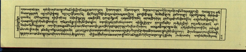 File:DNZ-Shechen-12-NA-030.pdf