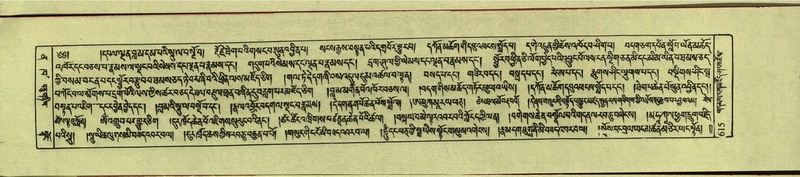 File:DNZ-Shechen-12-NA-030.pdf