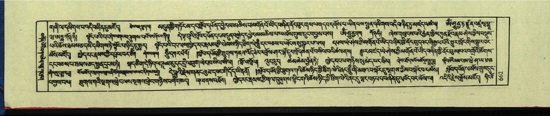 File:DNZ-Shechen-12-NA-032.pdf