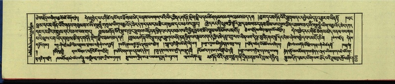 File:DNZ-Shechen-12-NA-032.pdf