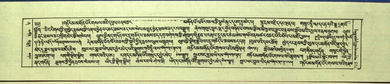 File:DNZ-Shechen-12-NA-032.pdf