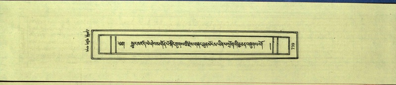 File:DNZ-Shechen-12-NA-033.pdf