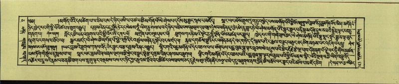 File:DNZ-Shechen-12-NA-033.pdf