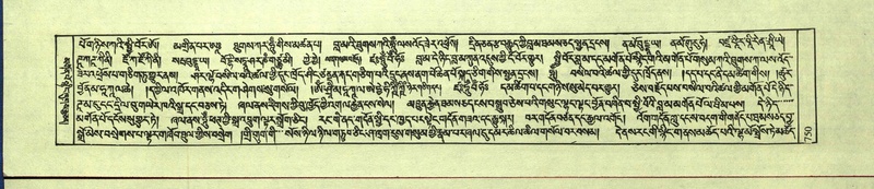 File:DNZ-Shechen-12-NA-034.pdf