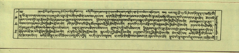 File:DNZ-Shechen-12-NA-034.pdf