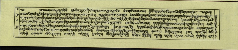 File:DNZ-Shechen-12-NA-034.pdf